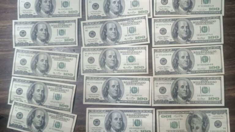 Secuestran dólares y detienen a cinco personas en distintos puntos del sur provincial