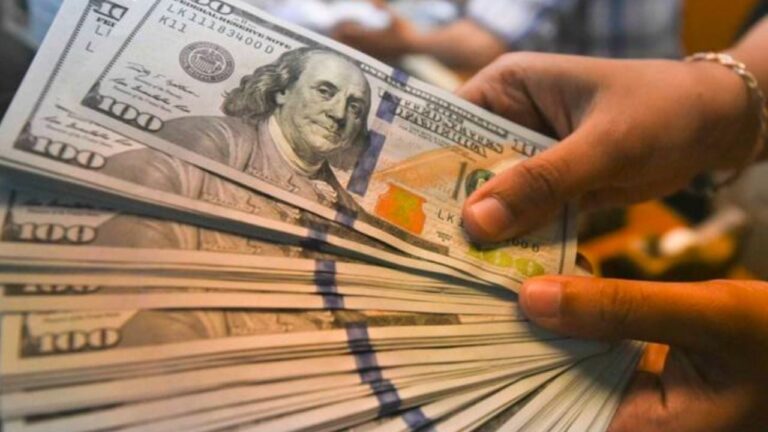 A cuánto cotizan el dólar blue y el dólar oficial este domingo