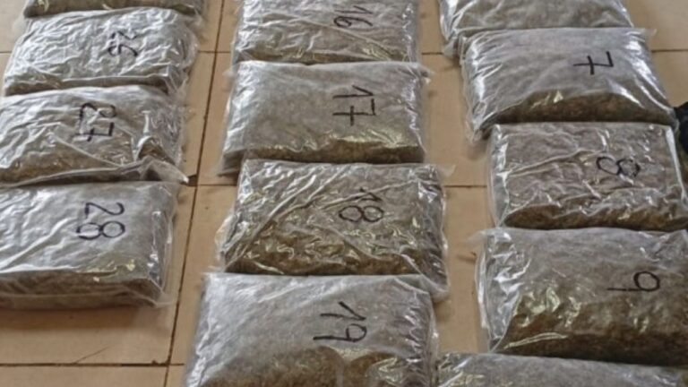 Detuvieron a dos pasajeros con 28 kilos de marihuana en un colectivo de larga distancia