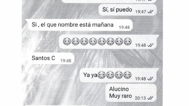 La trama de la militante del PSOE Leire Díez ofreció al fiscal Stampa un encuentro con «Santos C.»: «Alucino, muy raro»