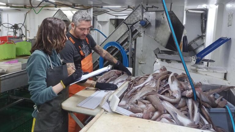 El quiñón de la discordia en los oceanográficos: qué es, cuánto y cómo se reparte