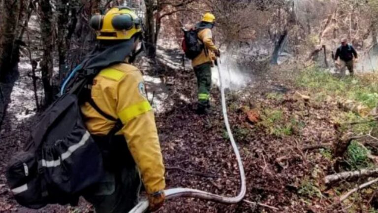 Se declaró la emergencia ígnea en Río Negro