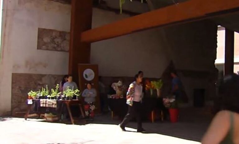 Manzana Jesuítica: este lunes se llevó a cabo la actividad Jardín de historia y cultura