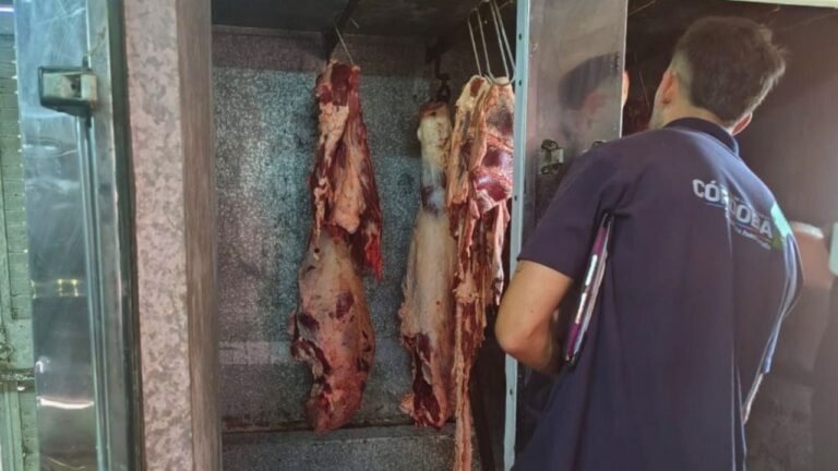 Allanan establecimientos y secuestran carne ilegal en Ballesteros