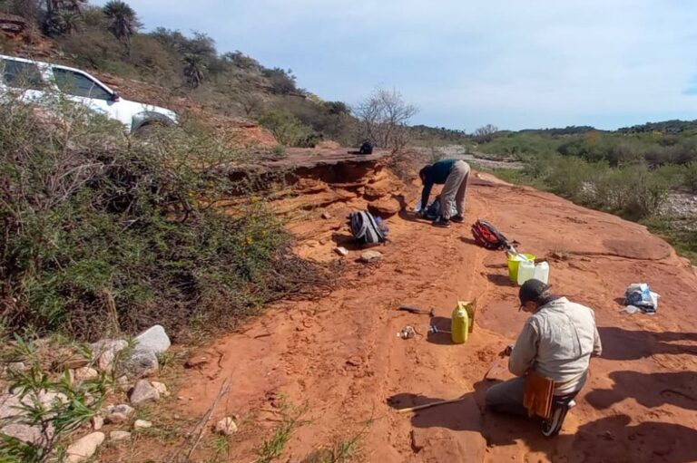 Hallazgo histórico en Córdoba: descubren un resto fósil óseo de «gran relevancia»
