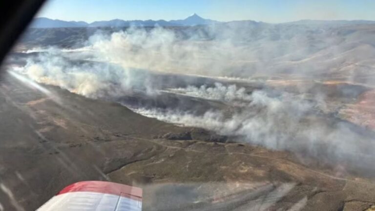 Se reactivó el incendio forestal en Junín de los Andes