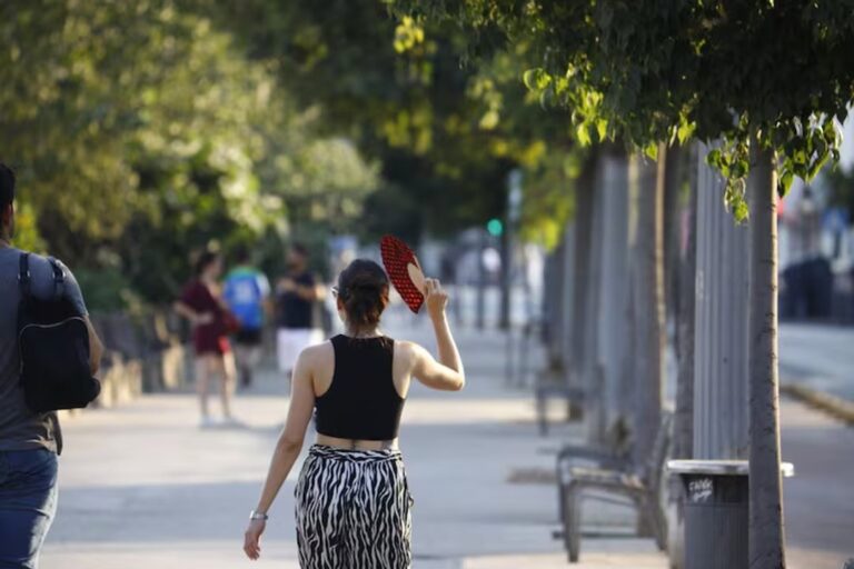 Calor y humedad en Córdoba: cómo sigue el tiempo el fin de semana