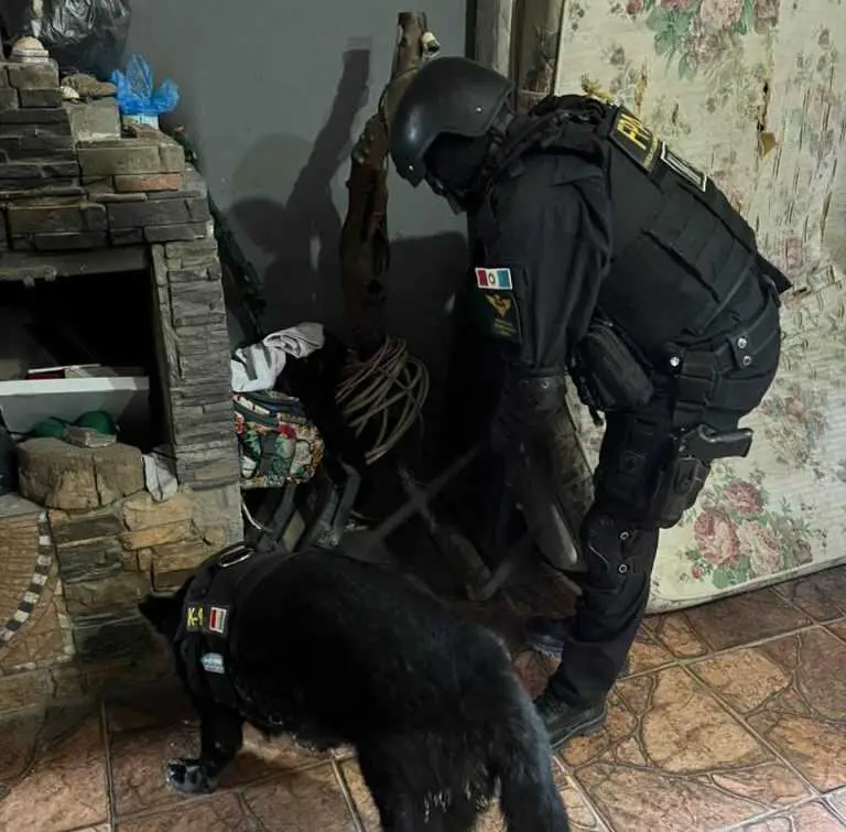 Cosquín: Desarticulan un punto de venta de drogas y detienen al hombre que las vendía