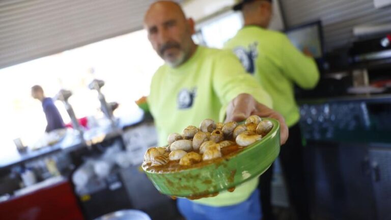 Cuenta atrás para la temporada de caracoles en Córdoba: «La afrontamos con ilusión, pero pendientes del tiempo»