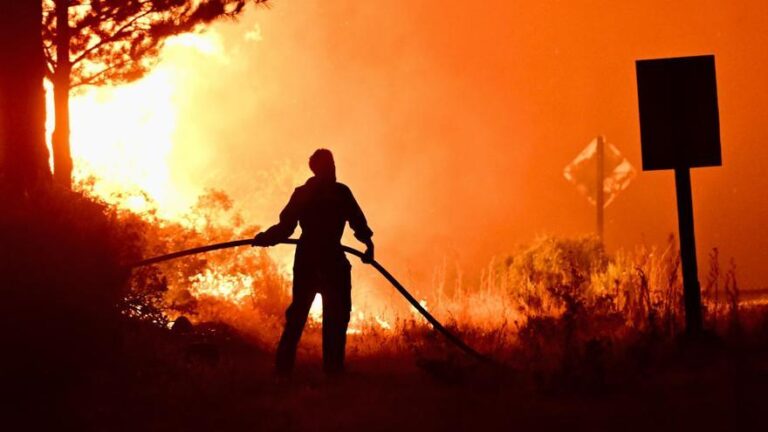 Los fuegos arrasan de nuevo la Patagonia argentina en plenos recortes de los servicios de extinción de incendios