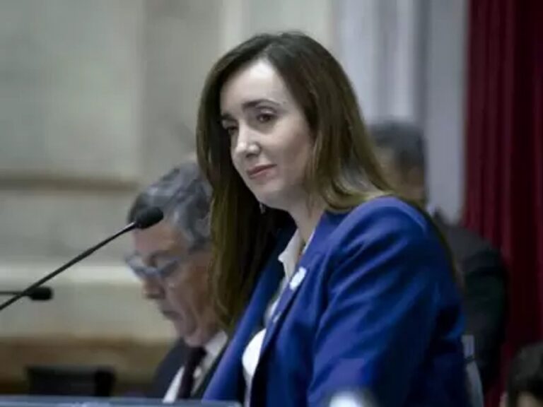 Victoria Villarruel pedirá que se agraven las penas para aquellos que inician incendios