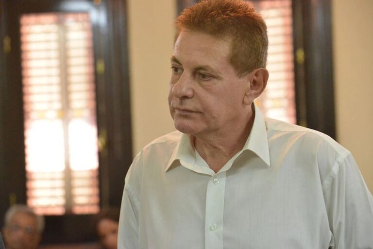 Quién fue el Francés Viarnes?