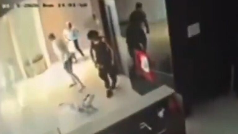 Indignante video: golpeó ferozmente a un perro porque le ladró a su hija y luego amenazó a su dueña