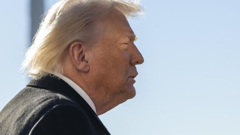 Un año en la Casa Blanca: el nuevo imperialismo de Trump pone en vilo la democracia de EEUU