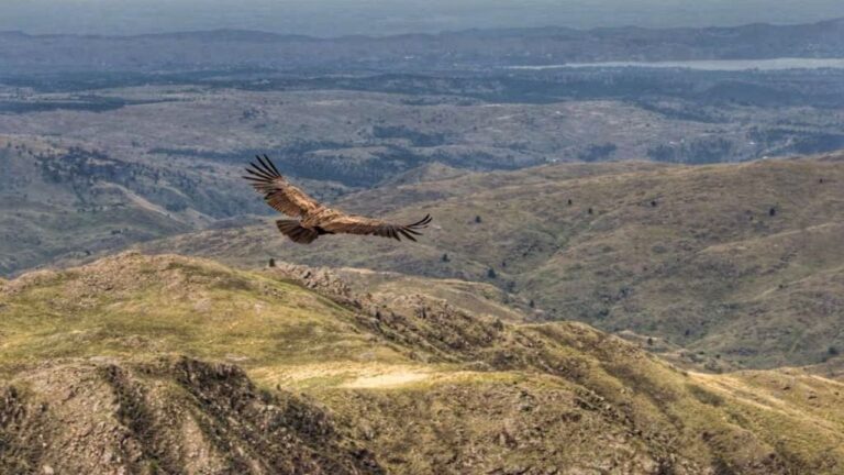 Habrá que registrarse para ingresar al Parque Quebrada del Condorito