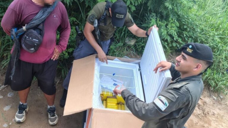 Ingresaba al país con un freezer en la espalda cargado con 31 kilos de cocaína
