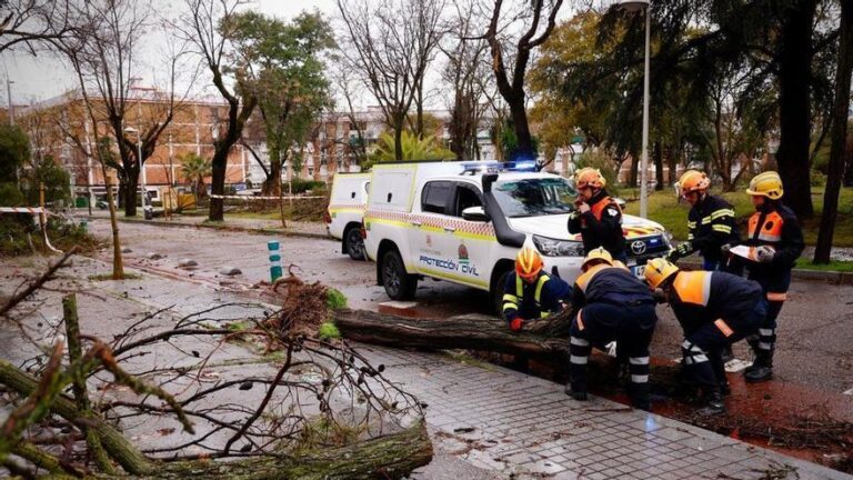 Los efectos de la borrasca Kristin en Córdoba