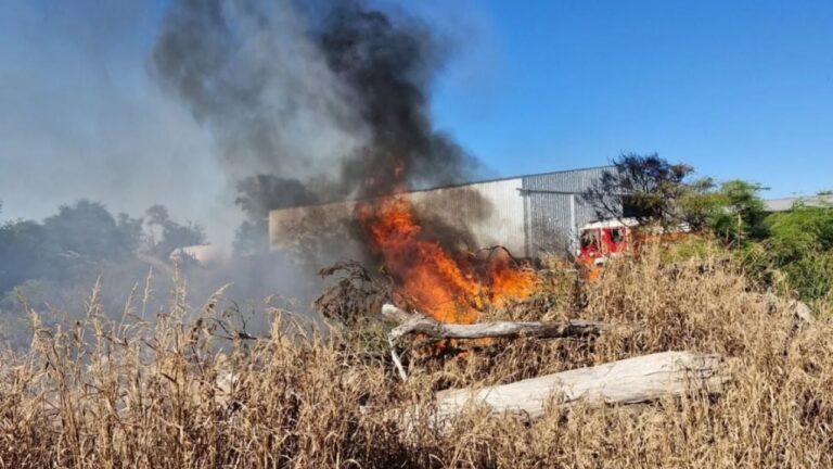 Bomberos evitaron que un incendio rural se propagara a los cultivos