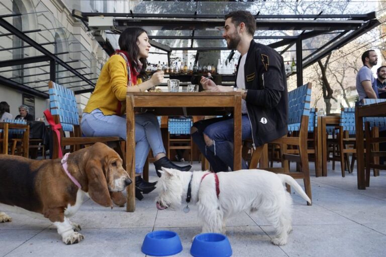 Estos son los barrios en los que vivir con una mascota es más fácil: plazas, caniles, bares y espacios pet friendly