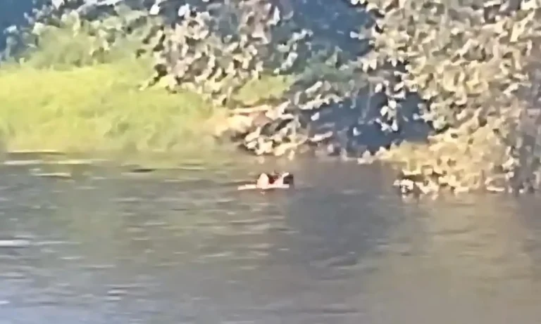 Video: Así rescataron a un hombre que se ahogaba en El Fantasio