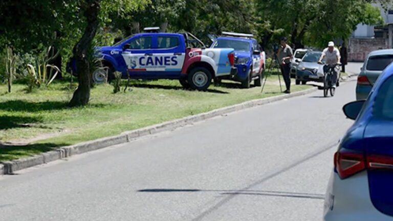 Crimen de Camila Merlo: el acusado dijo ser un amigo que le brindaba contención