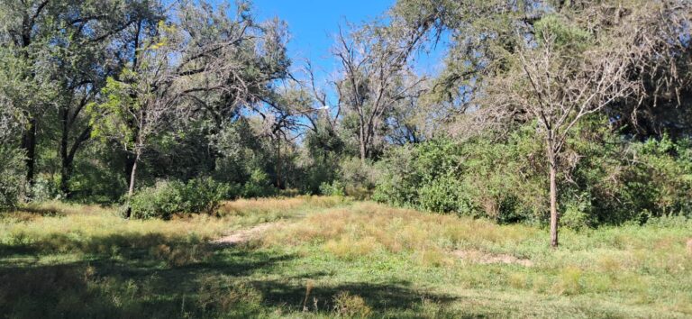 Cosquín: Cómo es y dónde se encuentra el descampado donde hallaron a Esmeralda