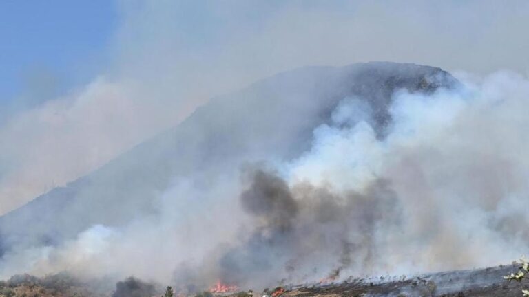 La Fiscalía archiva dos denuncias contra Mañueco y su consejero por los incendios de León