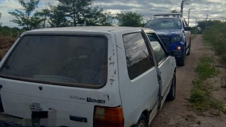 Cargaban sanitarios en un auto y terminaron rodeados por la Policía