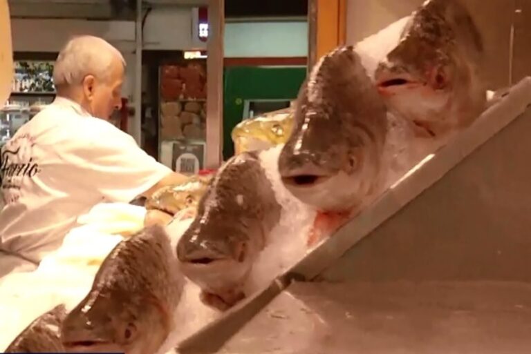 Llega Semana Santa: precios y recetas para hacer con pescado